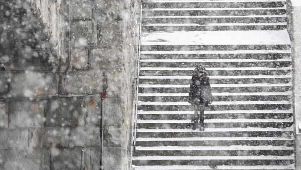 莫斯科降雪量打破140年前的记录 - 俄罗斯卫星通讯社