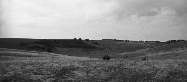 森林草原 - 俄罗斯卫星通讯社