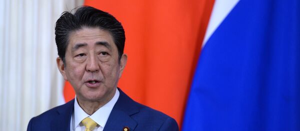 日本首相對伊朗進行正式訪問 1978年來首次 日本首相對伊朗進行正式訪問 1978年來首次 - 俄羅斯衛星通訊社
