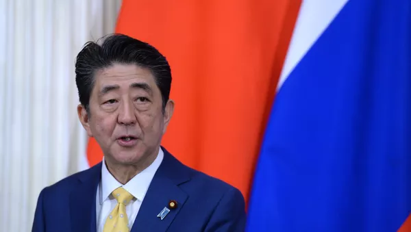 日本首相對伊朗進行正式訪問  1978年來首次 - 俄羅斯衛星通訊社