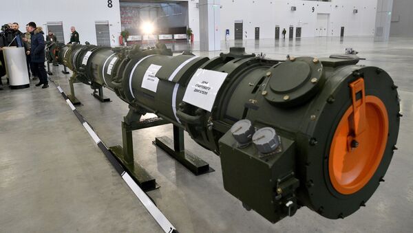 德国联邦议院建议俄罗斯在乌拉尔山脉以外部署新导弹 - 俄罗斯卫星通讯社