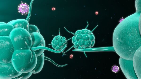 Раковые клетки во время нападения на иммунную систему человека - 俄罗斯卫星通讯社