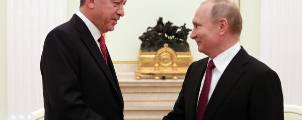 普京与埃尔多安 普京与埃尔多安 - 俄罗斯卫星通讯社