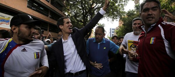 瓜伊多 - 俄罗斯卫星通讯社