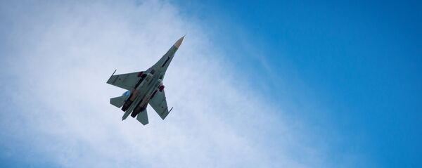 蘇-27戰機 蘇-27戰機 - 俄羅斯衛星通訊社