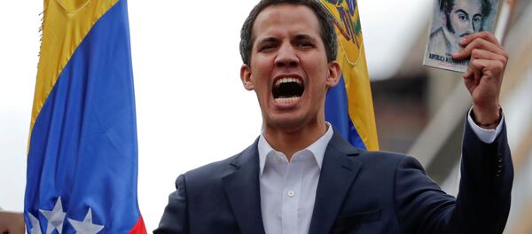 瓜伊多 - 俄罗斯卫星通讯社