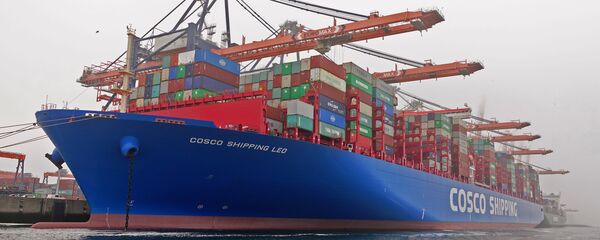 中远海运港口有限公司 - 俄罗斯卫星通讯社