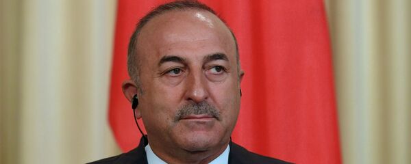 土耳其外长：必须参与叙利亚安全区事务 - 俄罗斯卫星通讯社