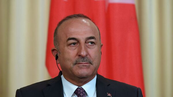 土耳其外长：土方需要与瑞芬两国达成书面协议 - 俄罗斯卫星通讯社