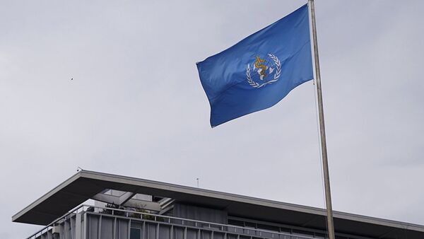 General view of the World Health Organization (WHO) headquarters in Geneva, Switzerland. - 俄羅斯衛星通訊社