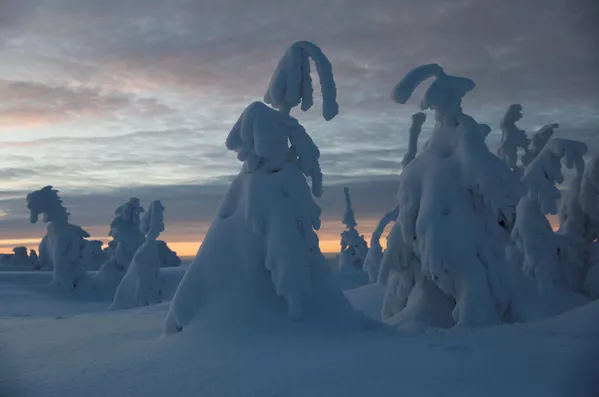地球上寒冷飄雪的冬季 - 俄羅斯衛星通訊社