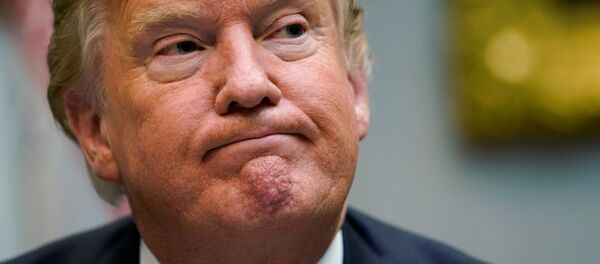 委内瑞拉外长称特朗普为该国反对派领导人 - 俄罗斯卫星通讯社