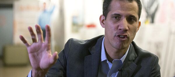 瓜伊多 - 俄罗斯卫星通讯社