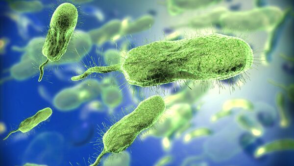 俄遗传学家研发出抗菌纳米材料 - 俄罗斯卫星通讯社