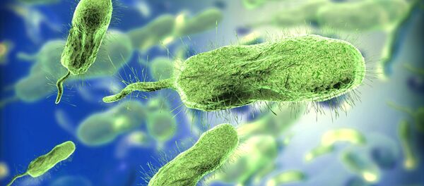 俄遺傳學家研發出抗菌納米材料 - 俄羅斯衛星通訊社