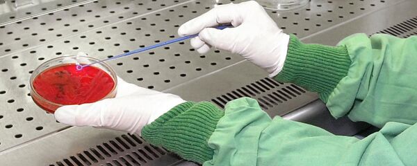 Проверка бактерии в лаборатории - 俄罗斯卫星通讯社