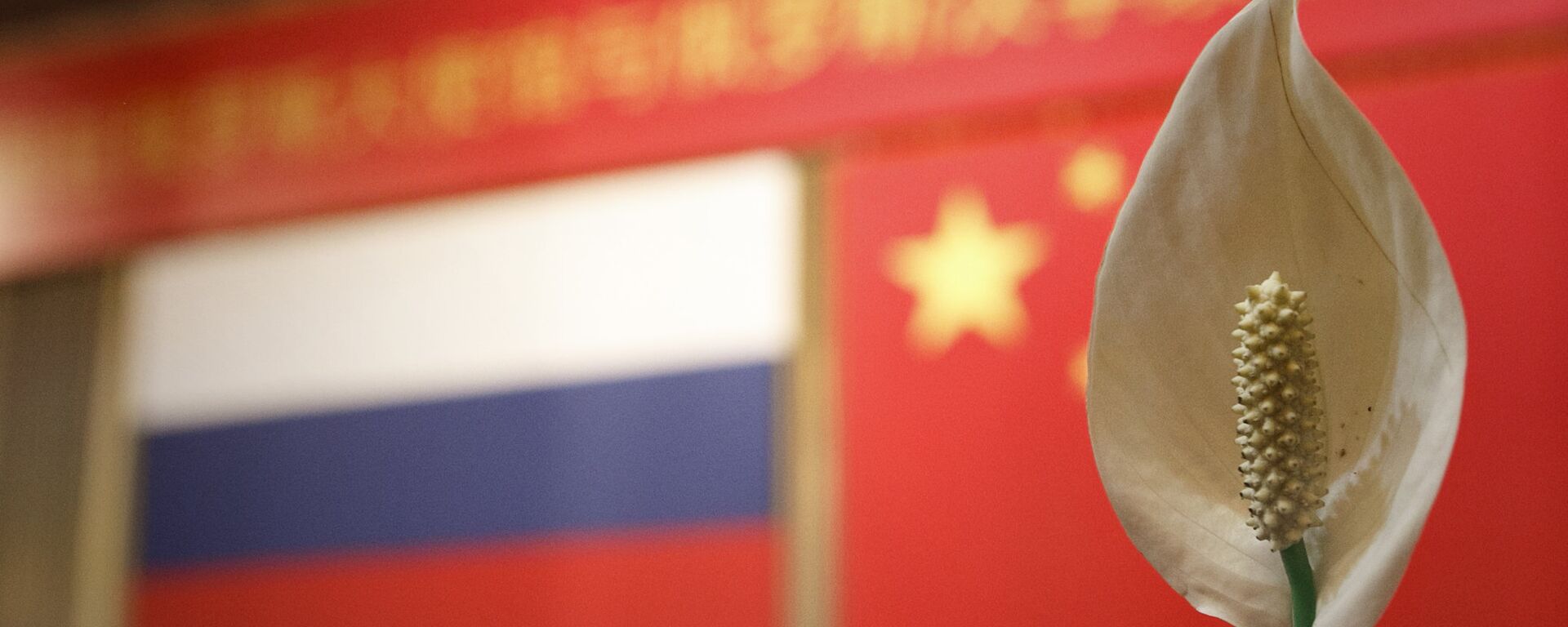 Флаги РФ и КНР. - 俄罗斯卫星通讯社, 1920, 19.06.2021