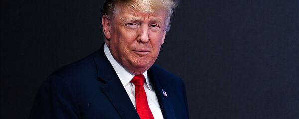 美国总统唐纳德·特朗普 - 俄罗斯卫星通讯社