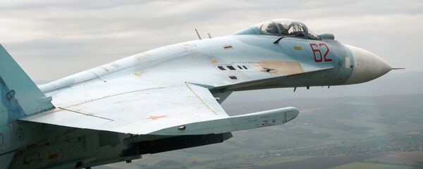 俄国防部：因瑞典侦察机接近俄边界 一架苏-27在波罗的海上升空 - 俄罗斯卫星通讯社