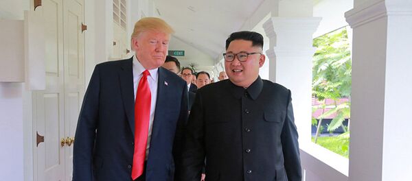 第二轮“特金会”模式与新加坡会晤相同 - 俄罗斯卫星通讯社