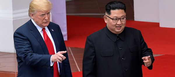 特朗普：希望近期会晤金正恩 - 俄罗斯卫星通讯社