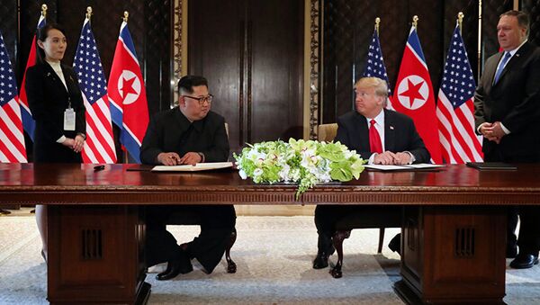 Встреча Дональда Трампа и Ким Чен Ына. - 俄羅斯衛星通訊社