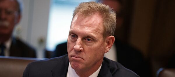 帕特里克·沙纳汉 帕特里克·沙纳汉 - 俄罗斯卫星通讯社