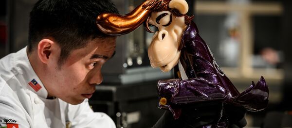 У法国国际美食大赛冠军 - 俄罗斯卫星通讯社