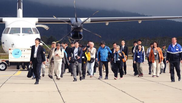 Японские туристы в аэропорту Менделеево на острове Кунашир. - 俄罗斯卫星通讯社