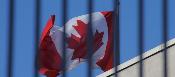 加議會代表團已赴華謀求解決加拿大公民的獲釋問題 - 俄羅斯衛星通訊社