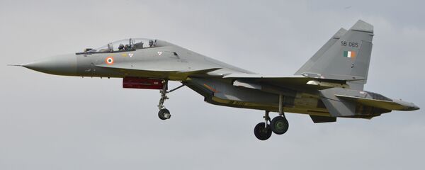 苏-30MKI战斗机 - 俄罗斯卫星通讯社