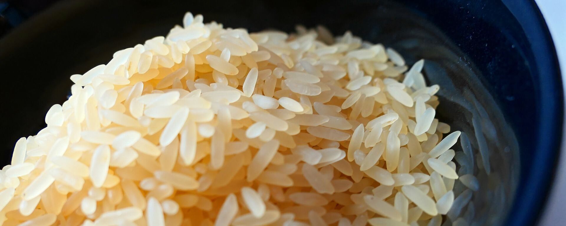 俄安全会议：中东局势威胁全球粮食安全，封锁霍尔木兹海峡三个月即可引发短缺 - 世界报道, 1920, 13.04.2026