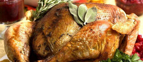 Индейка Индейка - 俄罗斯卫星通讯社