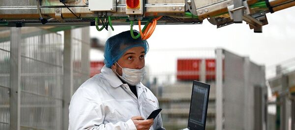 “切尔基佐沃”集团的食品厂 - 俄罗斯卫星通讯社