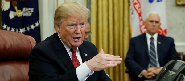 美国总统特朗普 - 俄罗斯卫星通讯社