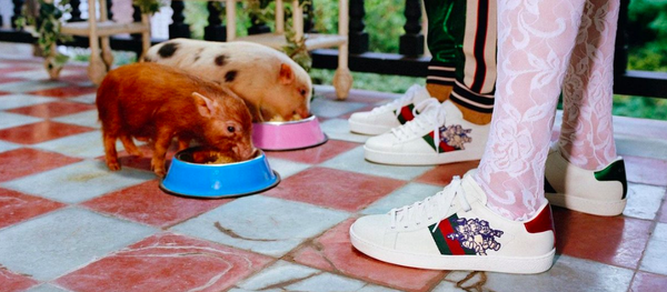 Лукбук Gucci для капсульной коллекции к китайскому Новому году - 俄羅斯衛星通訊社