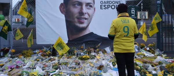 埃米利亚诺∙萨拉 - 俄罗斯卫星通讯社