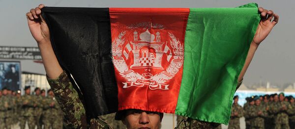 印巴两国希望中国加强对阿富汗局势的影响力 - 俄罗斯卫星通讯社