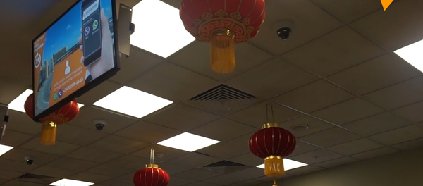 謝列梅捷沃國際機場喜迎中國年 - 俄羅斯衛星通訊社