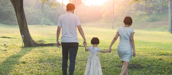 调查：中国已成为全球绿化速度最快的国家 - 俄罗斯卫星通讯社