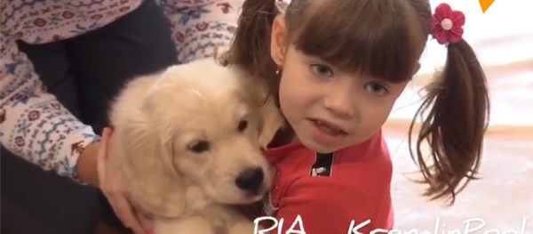 普京满足俄远东自闭女孩新年愿望赠其金毛幼犬 - 俄罗斯卫星通讯社