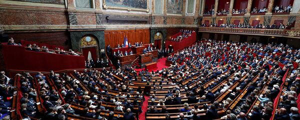 Сенат Франции Сенат Франции - 俄羅斯衛星通訊社