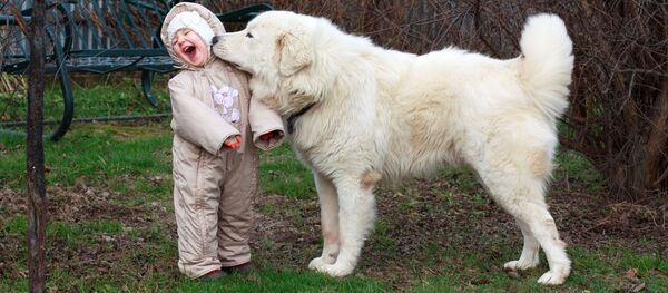 專家：孩子7歲前不宜養狗 - 俄羅斯衛星通訊社