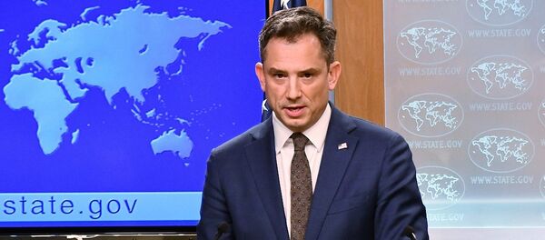 罗伯特∙帕拉迪诺 - 俄罗斯卫星通讯社