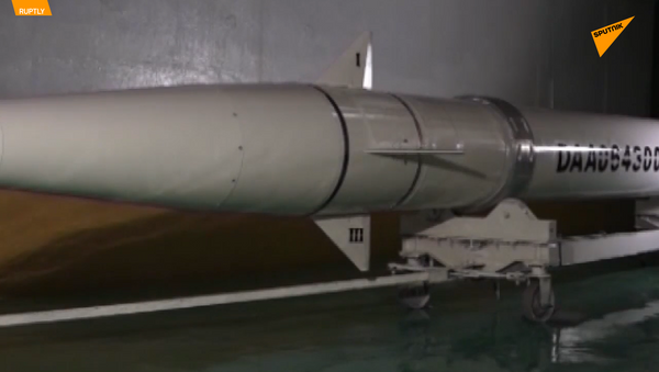 伊朗公布新型远程巡航导弹 - 俄罗斯卫星通讯社