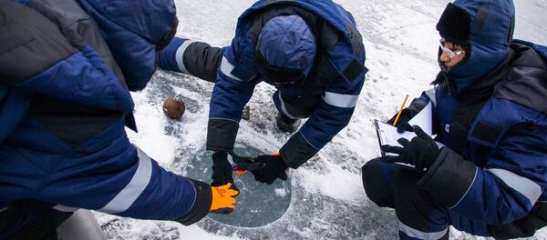 俄远东联邦大学:第五届冰力学国际研讨班中国学生人数创纪录 俄远东联邦大学:第五届冰力学国际研讨班中国学生人数创纪录 - 俄罗斯卫星通讯社