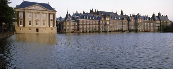 荷兰海牙 - 俄罗斯卫星通讯社