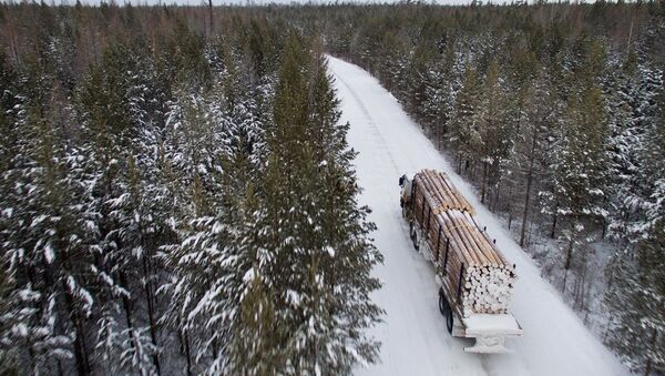 木材运输车 - 俄罗斯卫星通讯社
