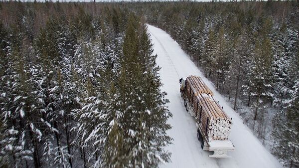木材運輸車 - 俄羅斯衛星通訊社