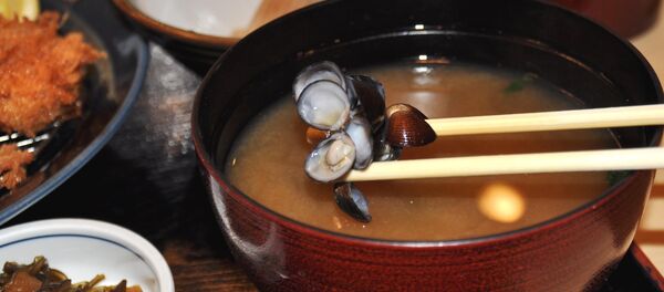 日本一家允许乱扔垃圾的夜宵店走红 - 俄罗斯卫星通讯社